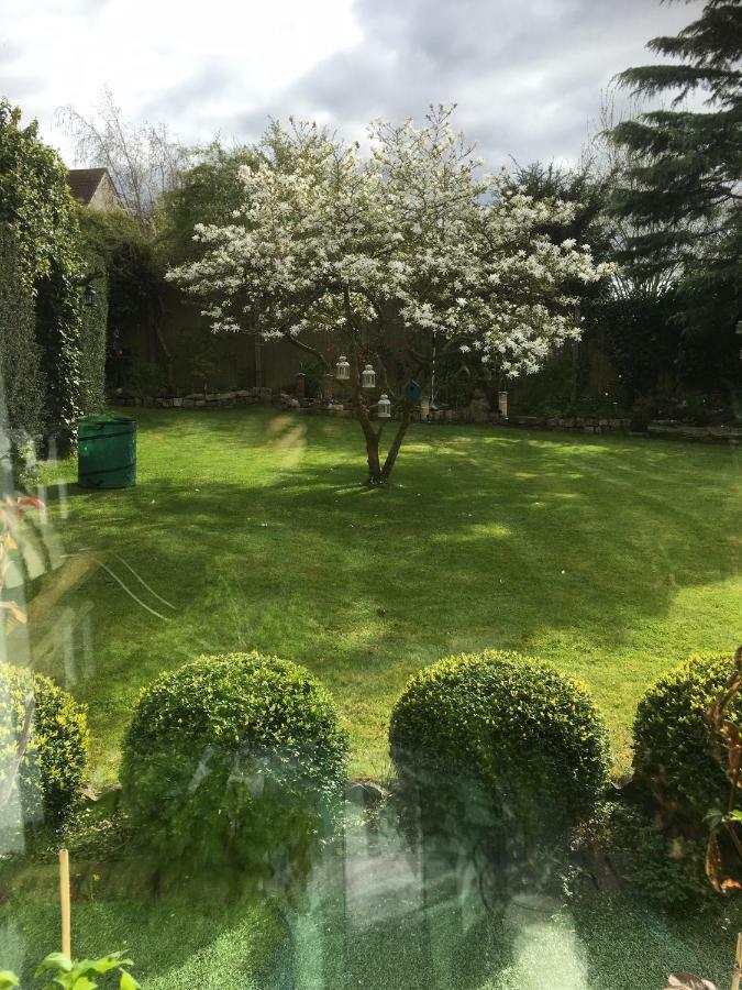 Guest house The Elms Bristol